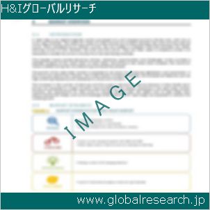 グローバルリサーチ調査レポートのイメージ